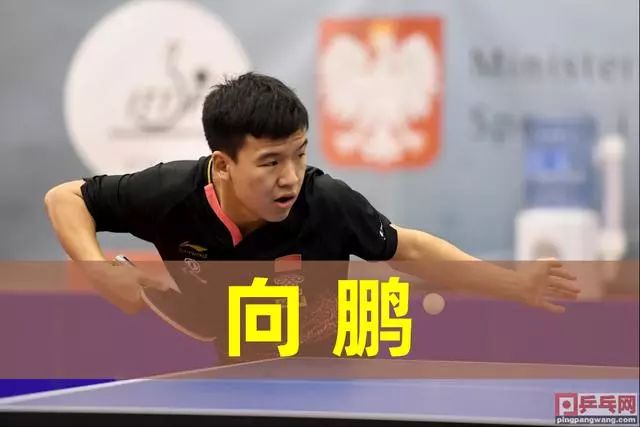 足观赛需求 足观赛需求